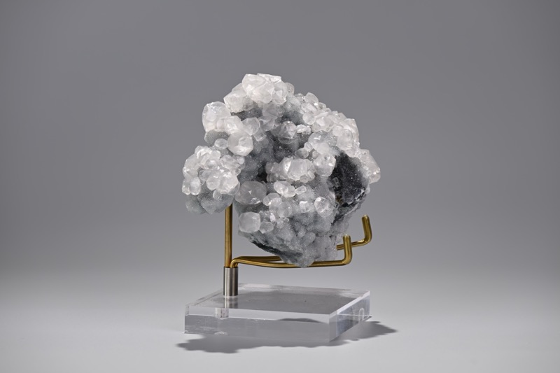 在线数字展品库系统
